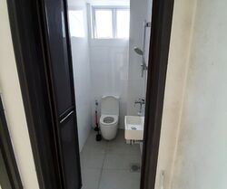 Summer Green (D12), Apartment #510142531